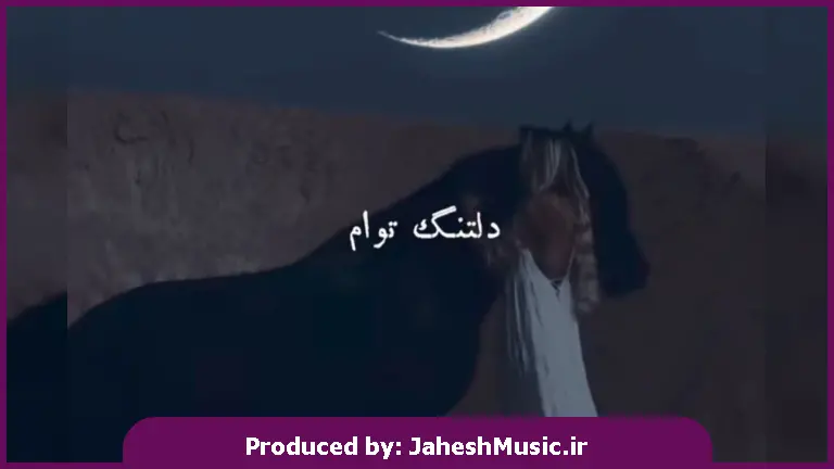 دانلود آهنگ دلتنگ توام یک ساله که نیستی عزیز دلم 